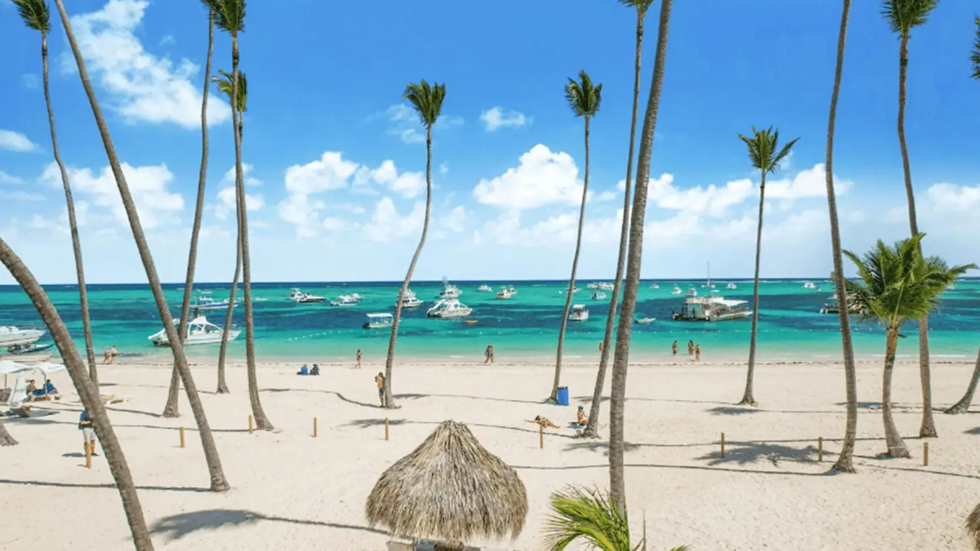 Beach Front Apartment With Private Beach Punta Cana